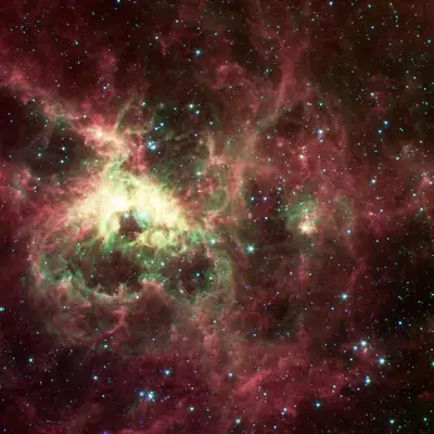 The Tarantula Nebula