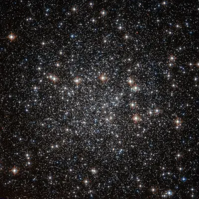 A sky full of stars NGC 4833