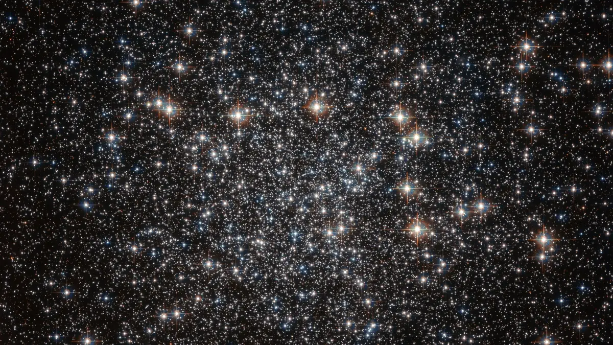 A sky full of stars NGC 4833