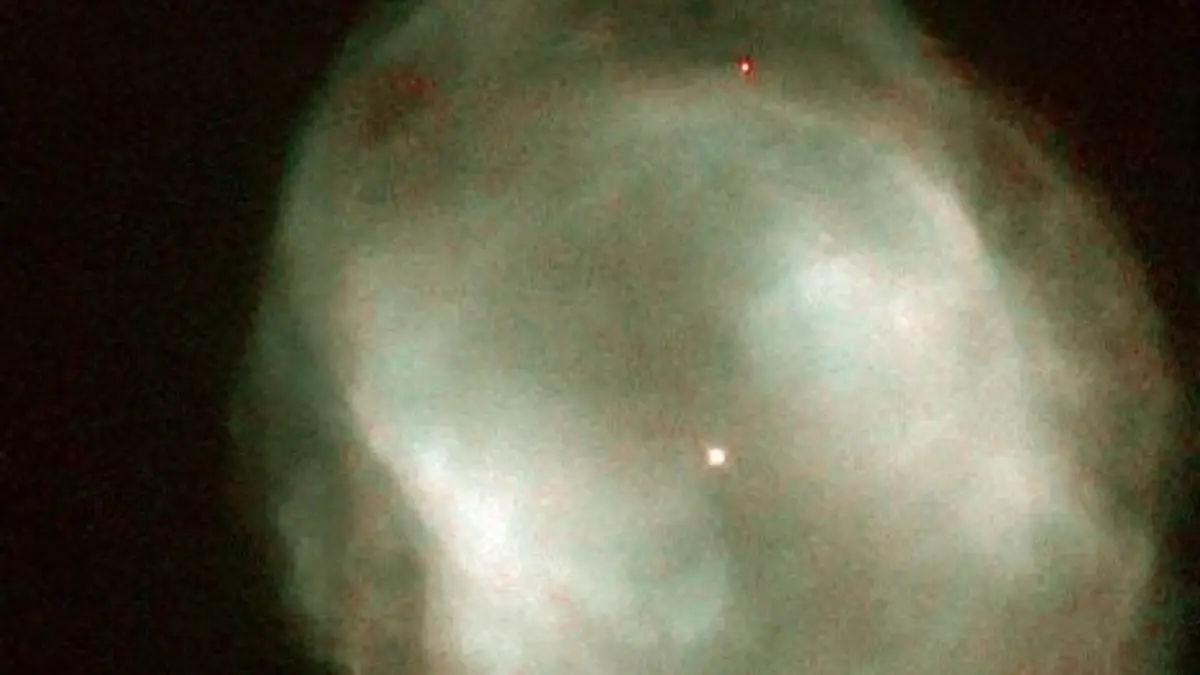 Caldwell 109