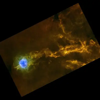 Star-Studded Strings around Cocoon Nebula