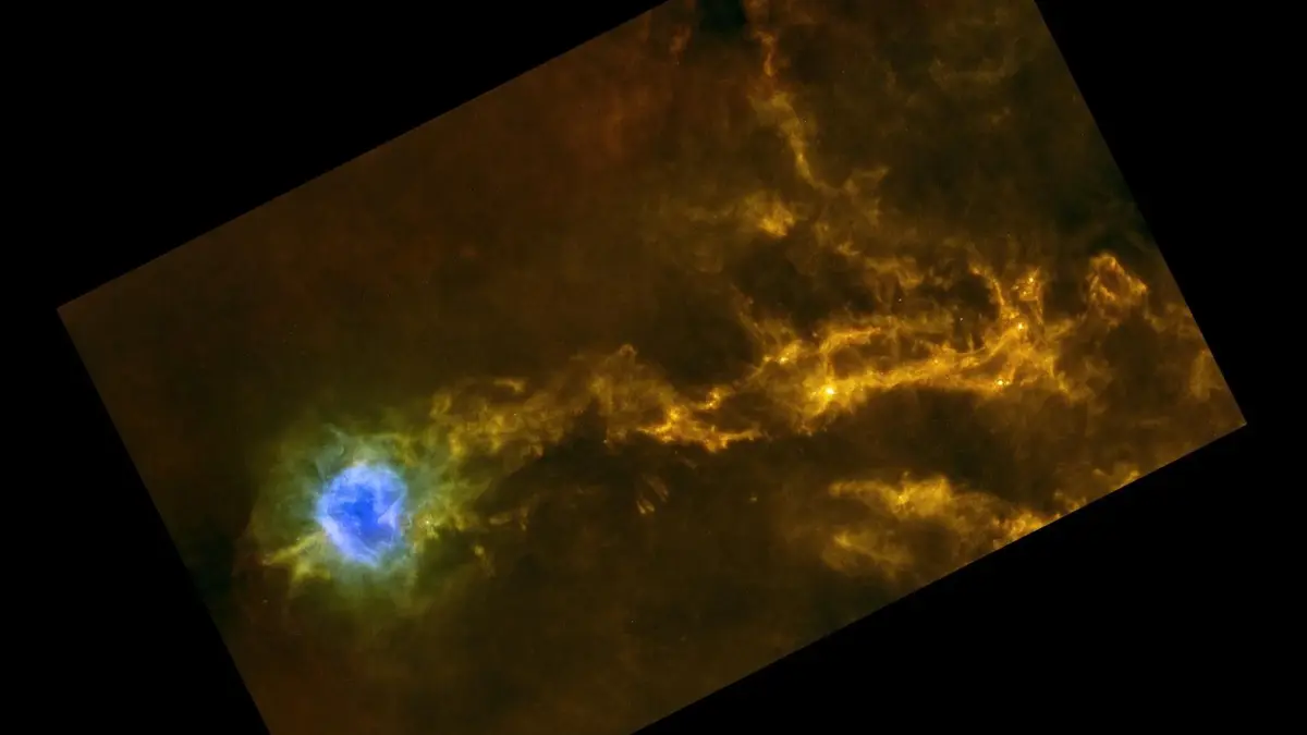 Star-Studded Strings around Cocoon Nebula