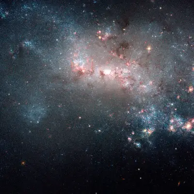Starburst in NGC 4449 (captured by the Hubble Space Telescope)