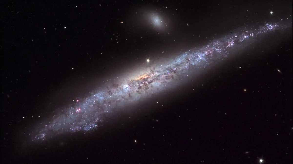 NGC 4631- The Whale (noao-n4631vickery)