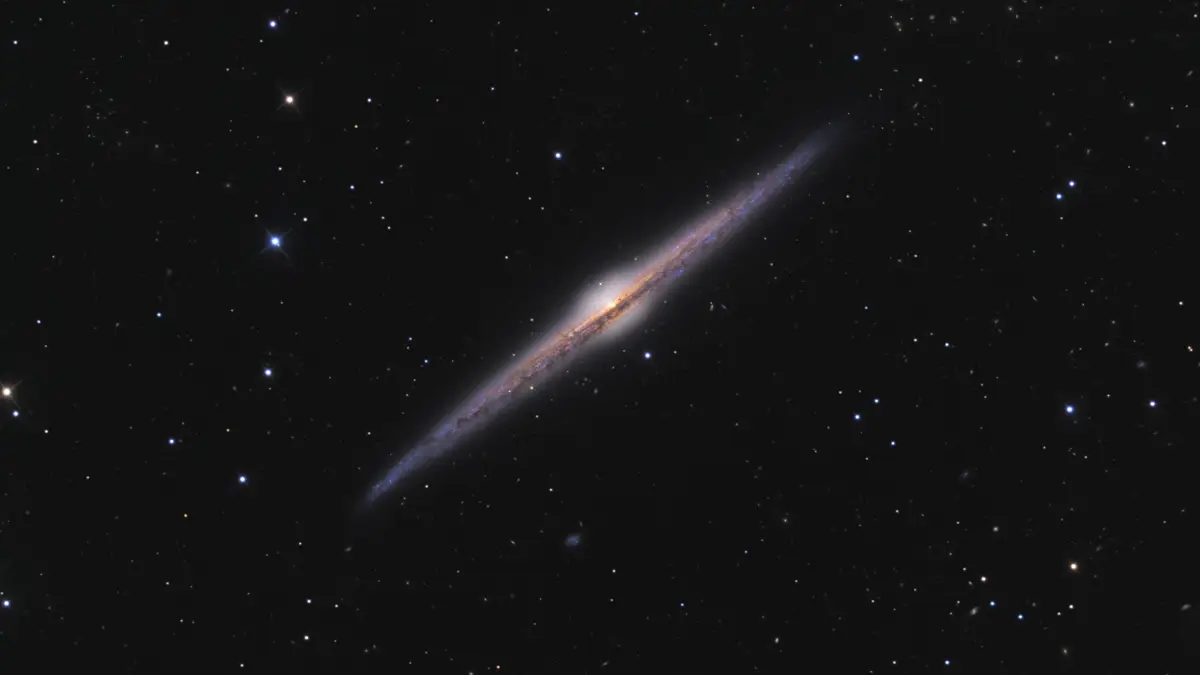 Needle Galaxy 4565