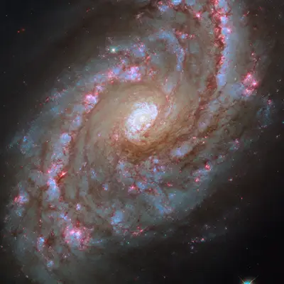 Starbursts on grand scale (potw2441a)