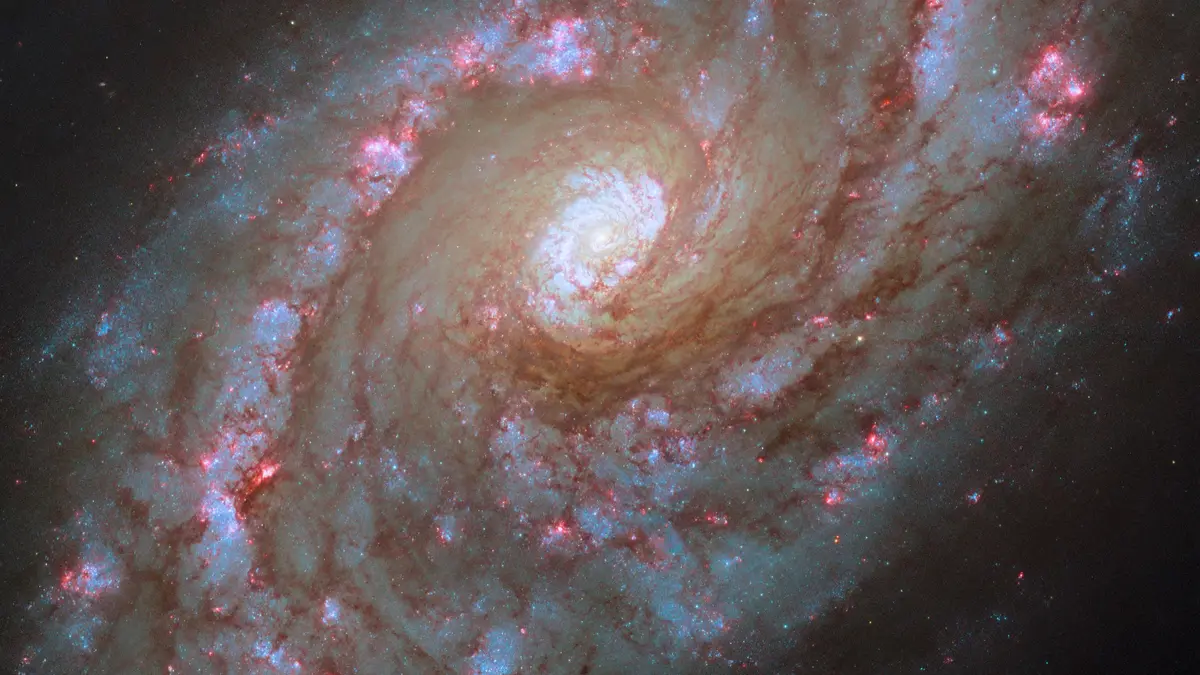 Starbursts on grand scale (potw2441a)