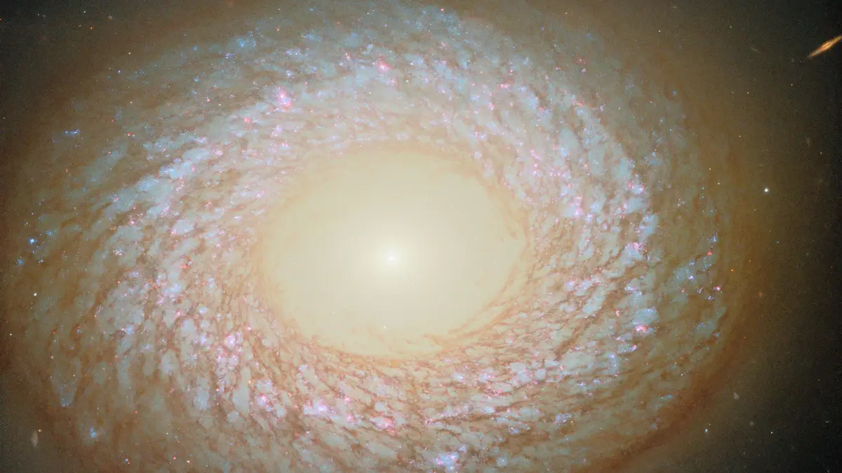 Spiral, elliptical or neither? (potw2538a)