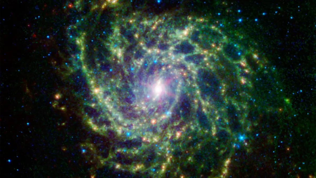 A Twisted Star-Forming Web in the Galaxy IC 342