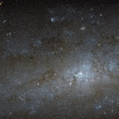 The centre of NGC 247