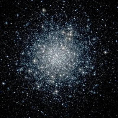 Ngc 1261