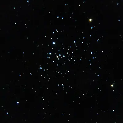 NGC 2516