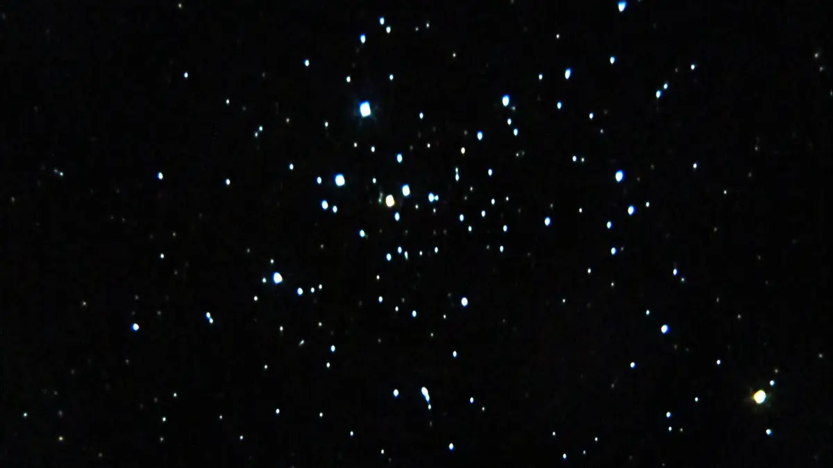 NGC 2516