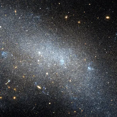 IC 2574 Hubble WikiSky