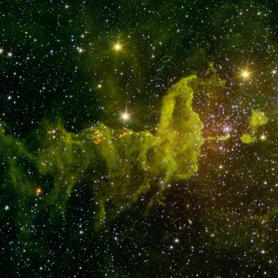 The Spider Nebula