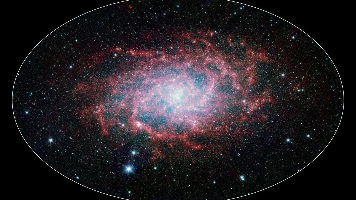 M33: A Close Neighbor Reveals its True Size and Splendor