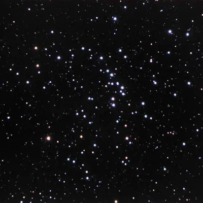 M48 Mazur