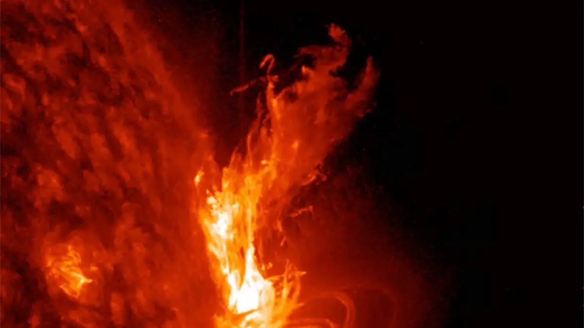 Flares in Profile