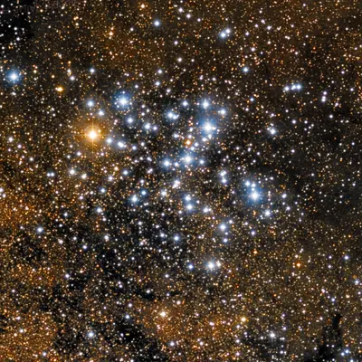 Messier 6 - The Butterfly Cluster