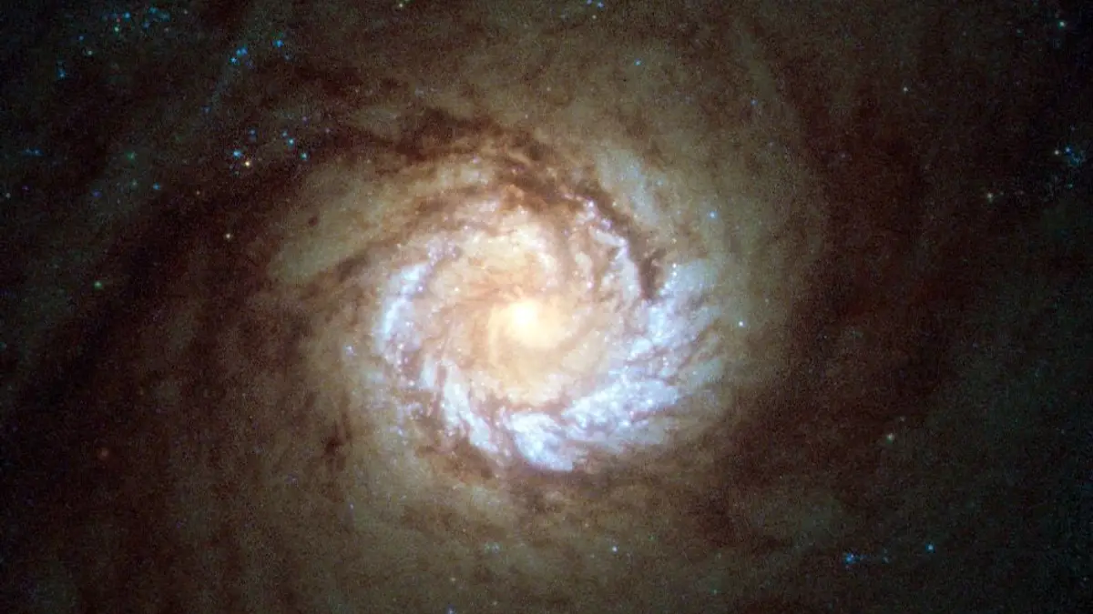 A hungry starburst galaxy