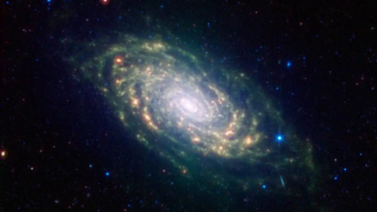 Sunflower Galaxy Glows with Infrared Light