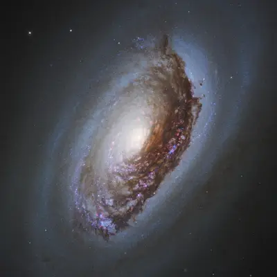 NGC 4826 - HST