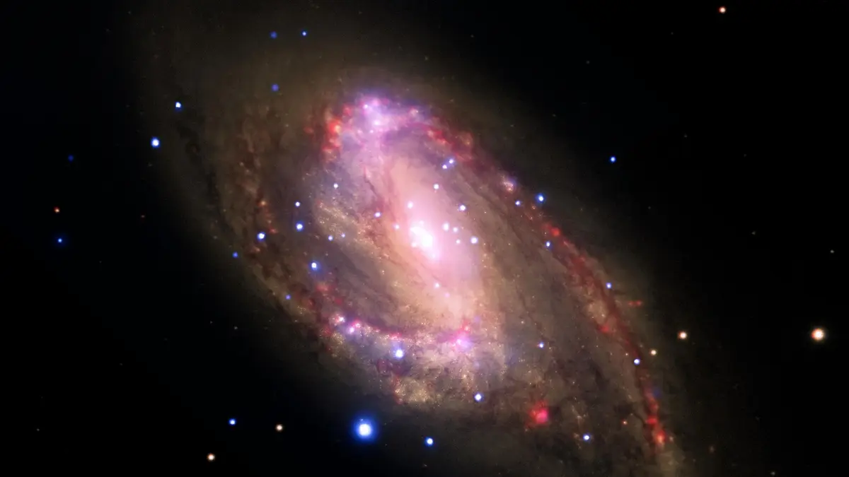 NGC 3627: Revealing Hidden Black Holes
