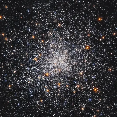 A snowstorm of stars