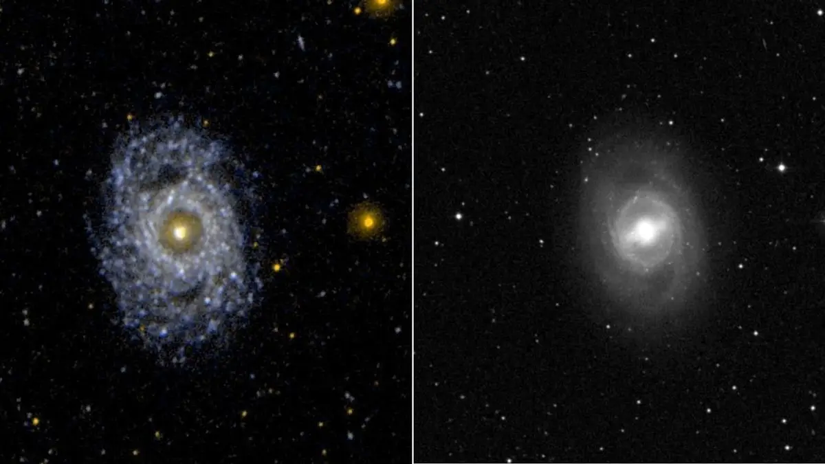 Face on Barred and Ringed Spiral Galaxy NGC 3351