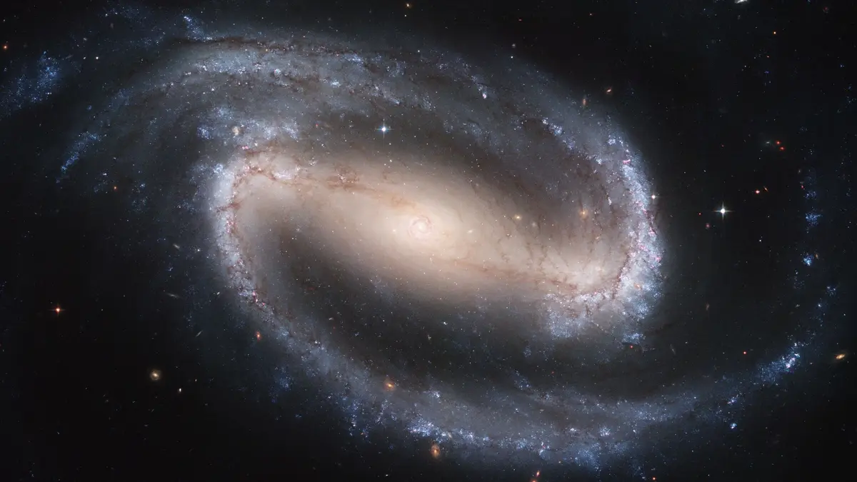 Hubble2005-01-barred-spiral-galaxy-NGC1300