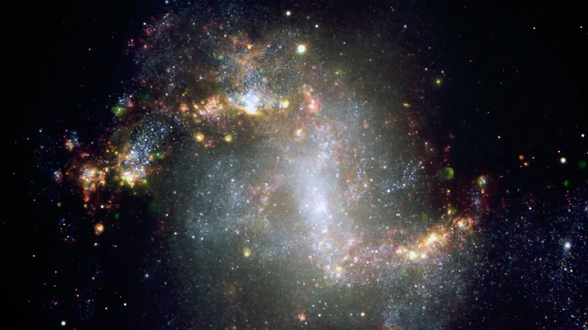 The Topsy-Turvy Galaxy NGC 1313*