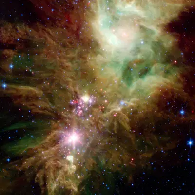 NGC 2264