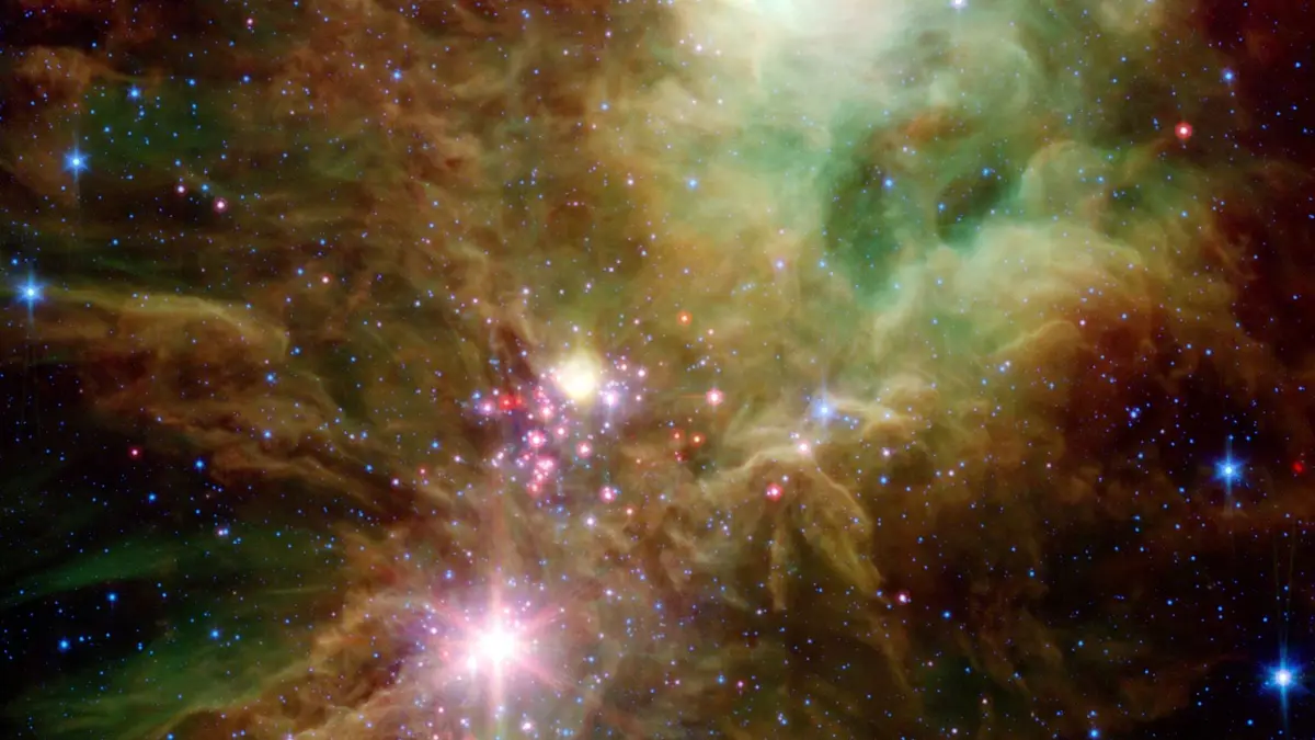 NGC 2264