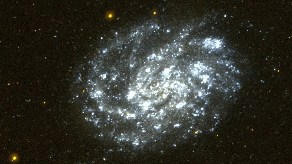 Galaxy NGC 300