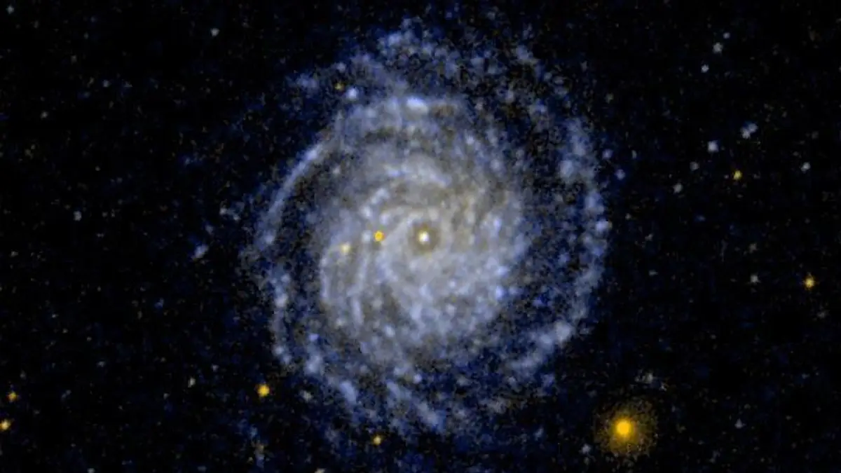 Large Face on Spiral Galaxy NGC 3344
