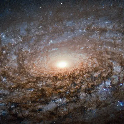 Hubble shears a woolly galaxy