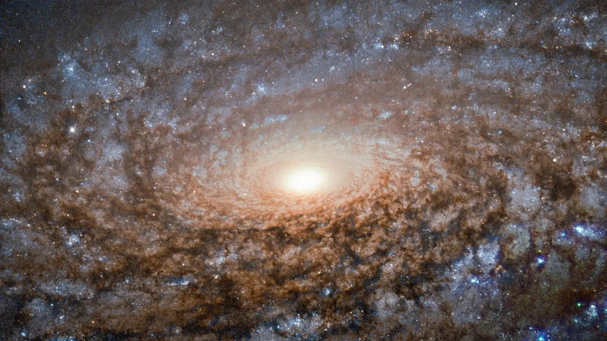 Hubble shears a woolly galaxy
