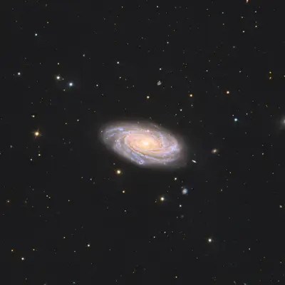 NGC 3953 Galaxy