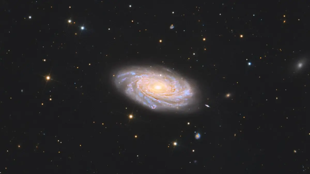 NGC 3953 Galaxy