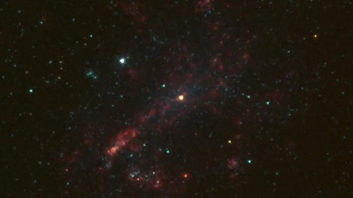 Bulgeless Galaxy Hides Black Hole