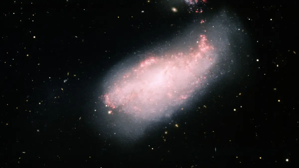 NGC 4490, Barred Spiral Galaxy (noao-ngc4490)