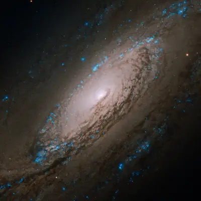NGC 5005