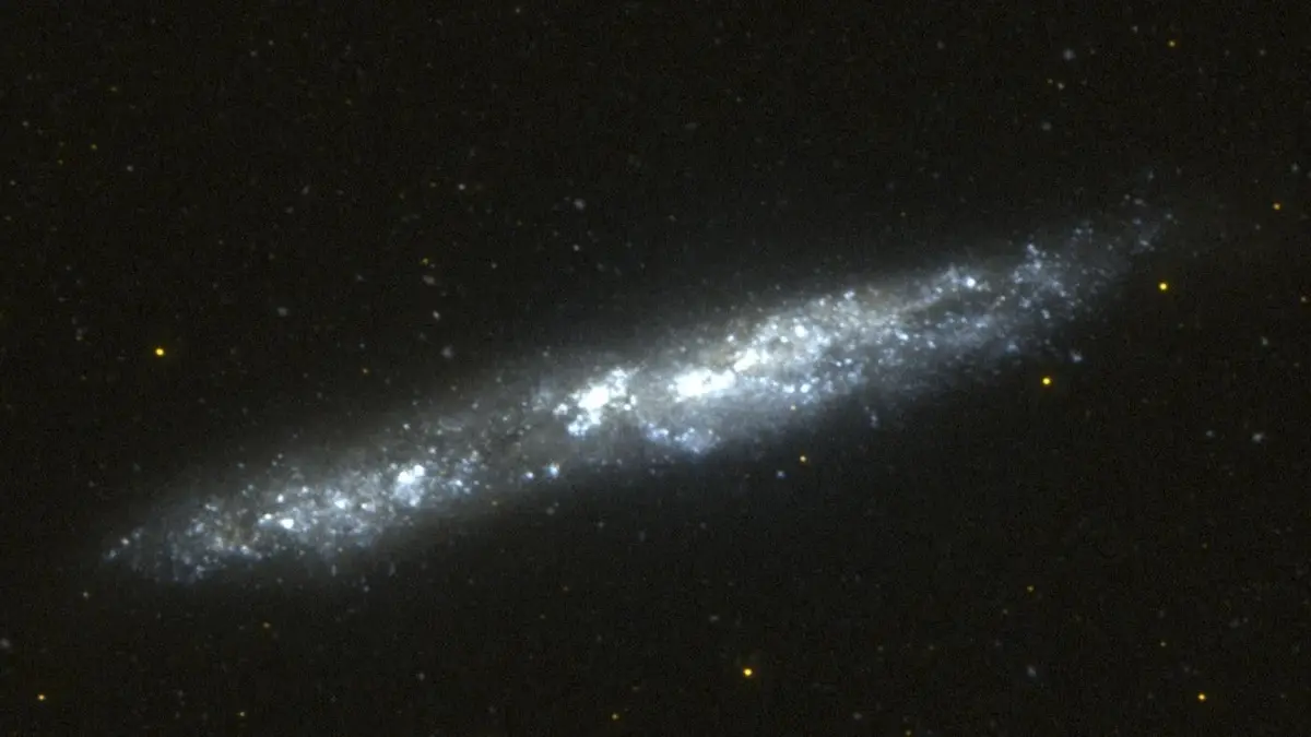 Galaxy NGC 55
