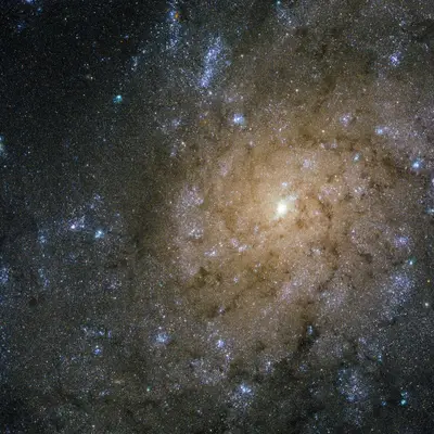 Jets and explosions in NGC 7793 (15301077796)