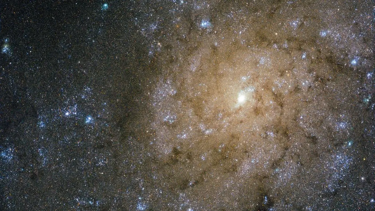 Jets and explosions in NGC 7793 (15301077796)